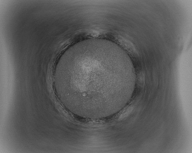 X0000112911105200908311231