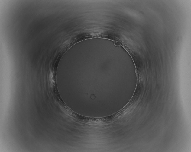 X0000112911106200908311231