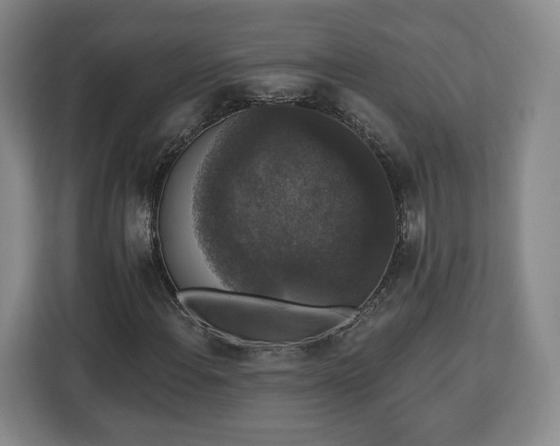 X0000112911108200908311231