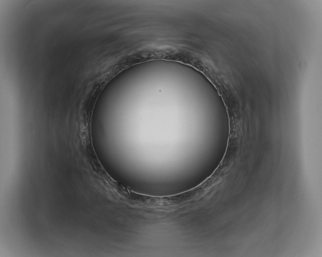 X0000112911109200908311231