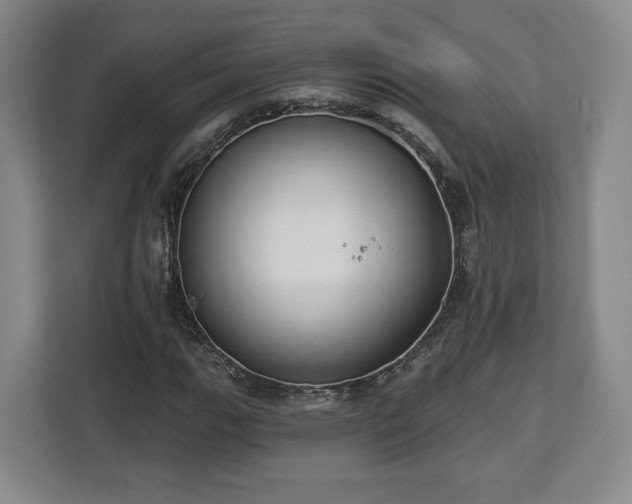 X0000112911111200908311231