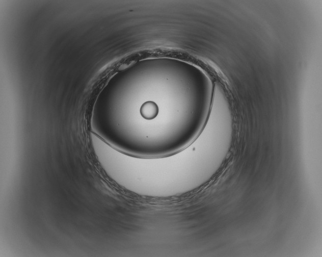 X0000112911112200908311231