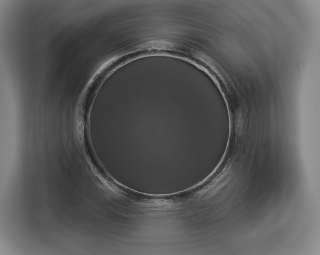 X0000112911115200908311231