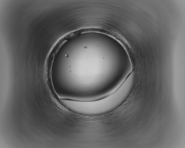 X0000112911116200908311231