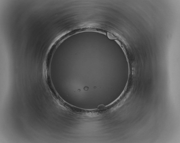 X0000112911117200908311231