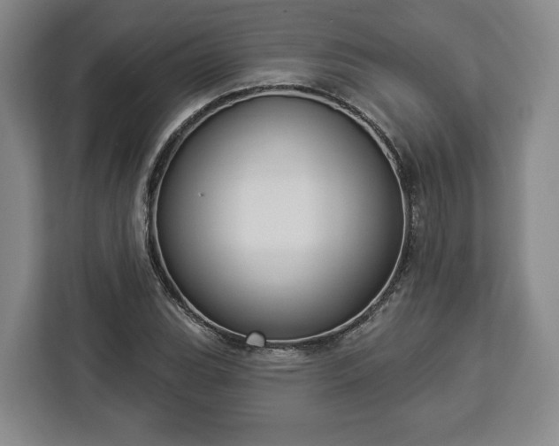 X0000112911119200908311232