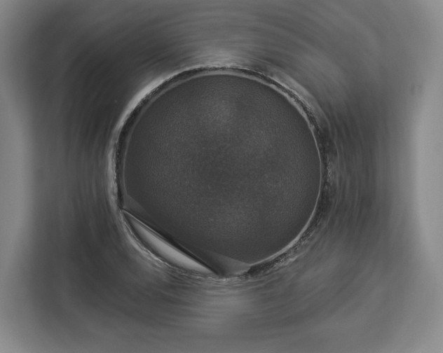 X0000112911120200908311232