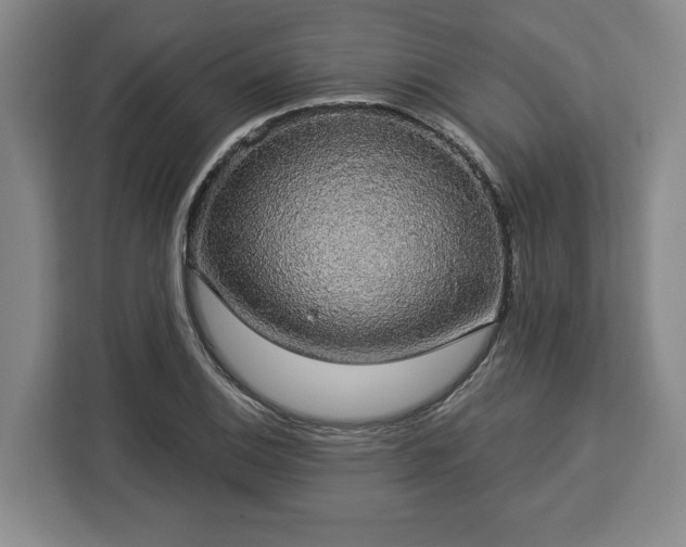 X0000112911124200908311232