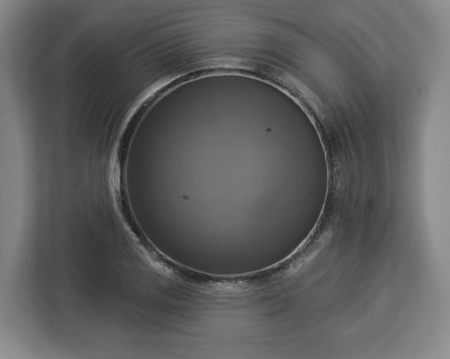 X0000112911125200908311232