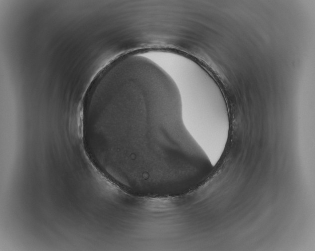 X0000112911126200908311232