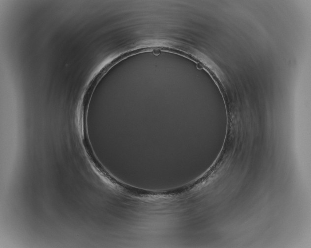 X0000112911127200908311232