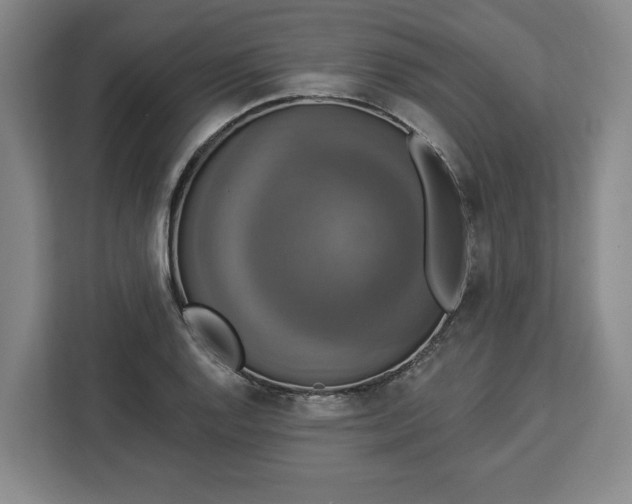 X0000112911128200908311232