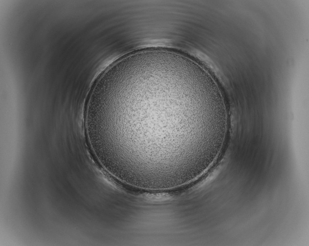 X0000112911129200908311232