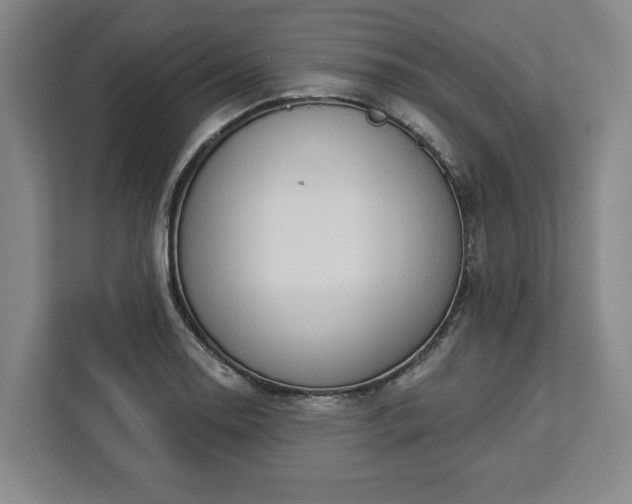 X0000112911130200908311232