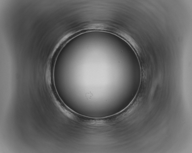 X0000112911131200908311232