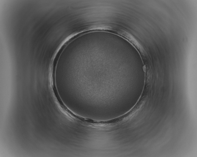 X0000112911132200908311232