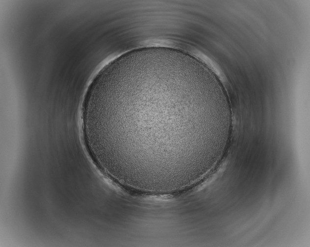 X0000112911133200908311232