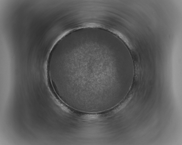 X0000112911134200908311232