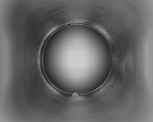 X0000112911135200908311232