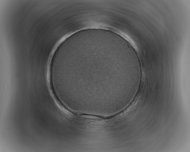 X0000112911136200908311232