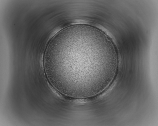 X0000112911137200908311232