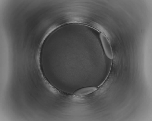 X0000112911138200908311232