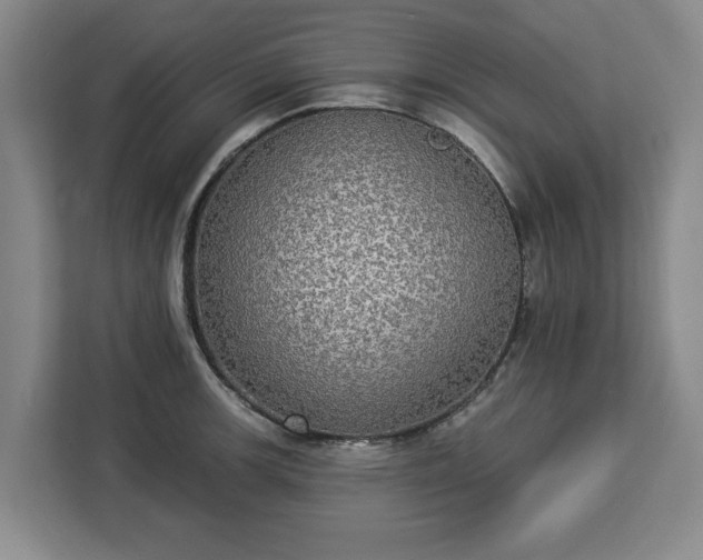 X0000112911139200908311232