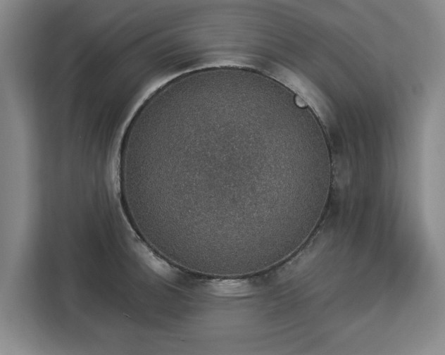 X0000112911140200908311232