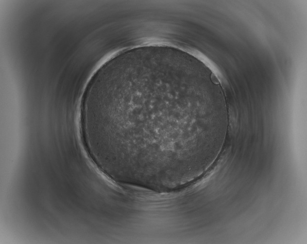 X0000112911142200908311232