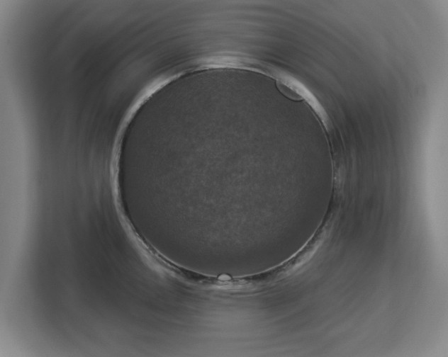 X0000112911146200908311232