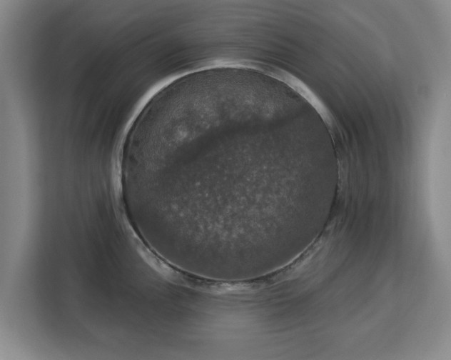 X0000112911148200908311232