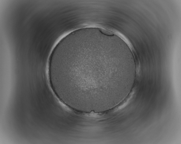 X0000112911149200908311232