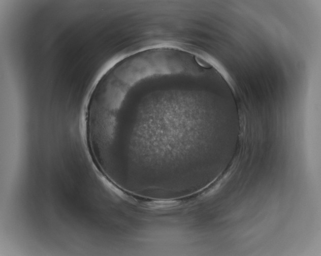 X0000112911151200908311232