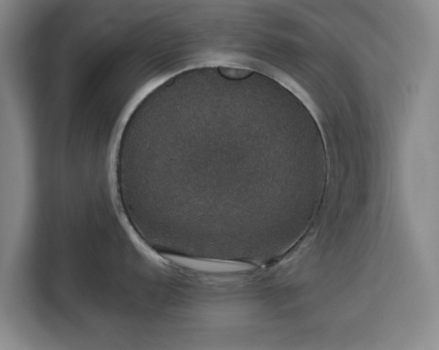 X0000112911152200908311232