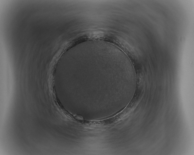 X0000112911153200908311231