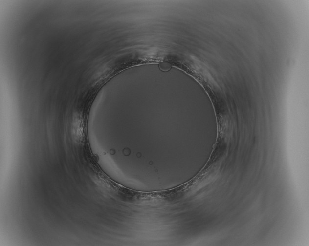 X0000112911154200908311231