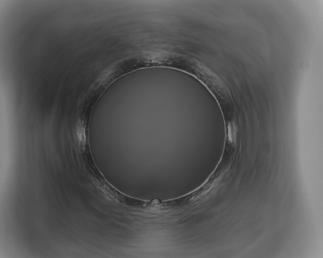 X0000112911155200908311231