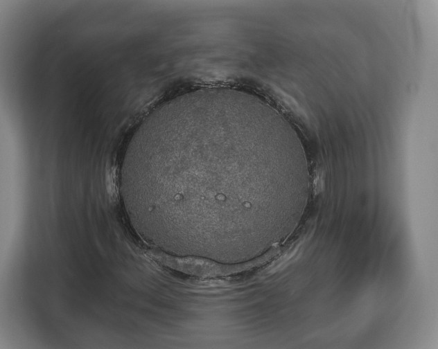 X0000112911156200908311231