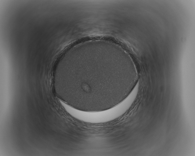 X0000112911157200908311231