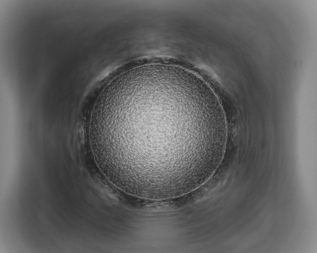 X0000112911159200908311231