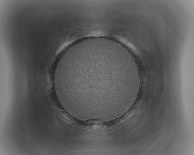 X0000112911160200908311231