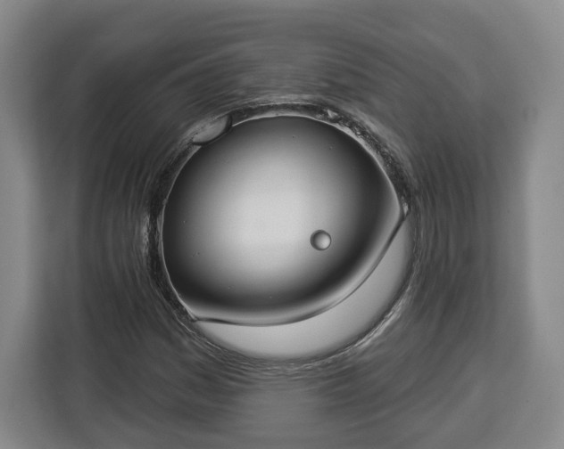 X0000112911161200908311231