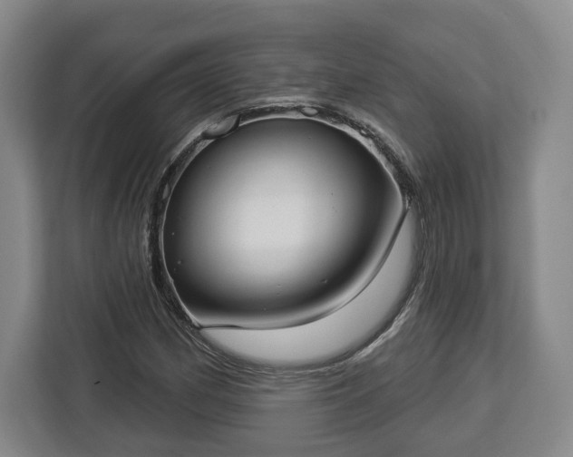 X0000112911162200908311231