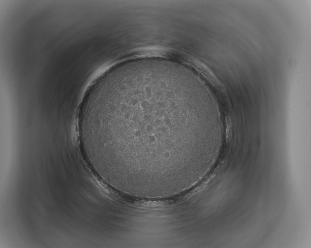 X0000112911164200908311231