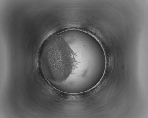 X0000112911165200908311231