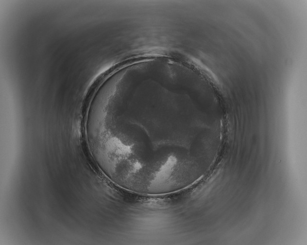 X0000112911166200908311231