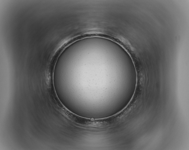 X0000112911167200908311231