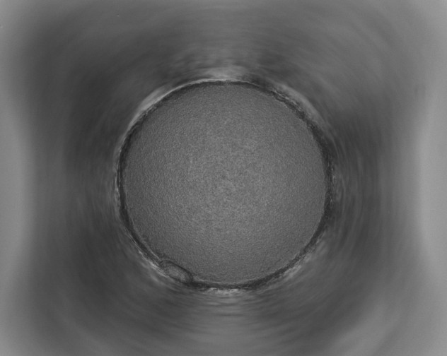 X0000112911168200908311231