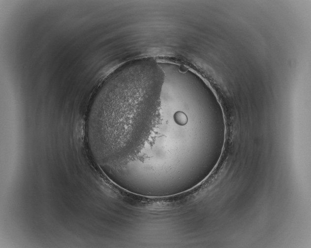 X0000112911169200908311231