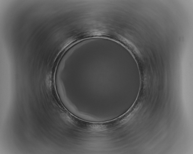 X0000112911170200908311231